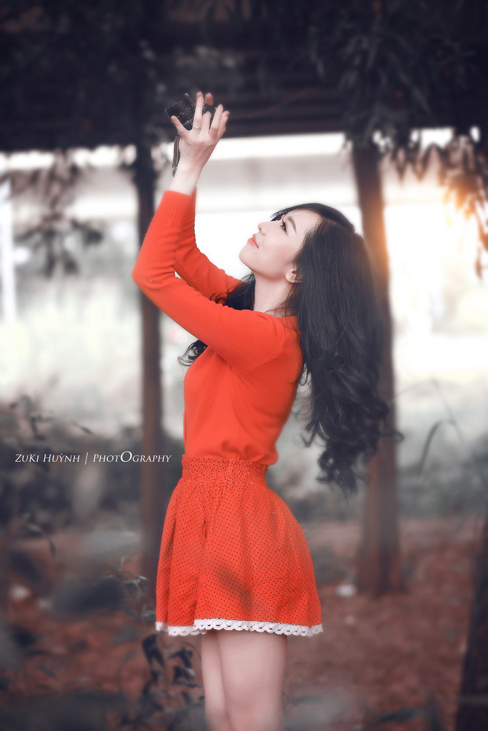 红楼梦1989杨丽花